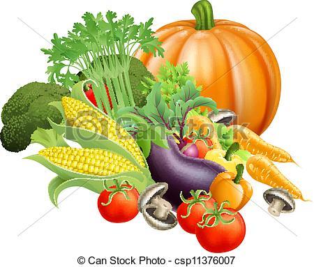 Vielleicht fallen Euch noch andere Gemüsesorten ein .. - (Essen, Biologie, kochen)