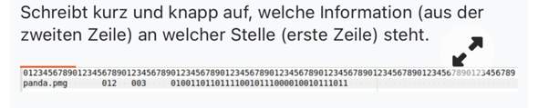 Bild zum Beitrag