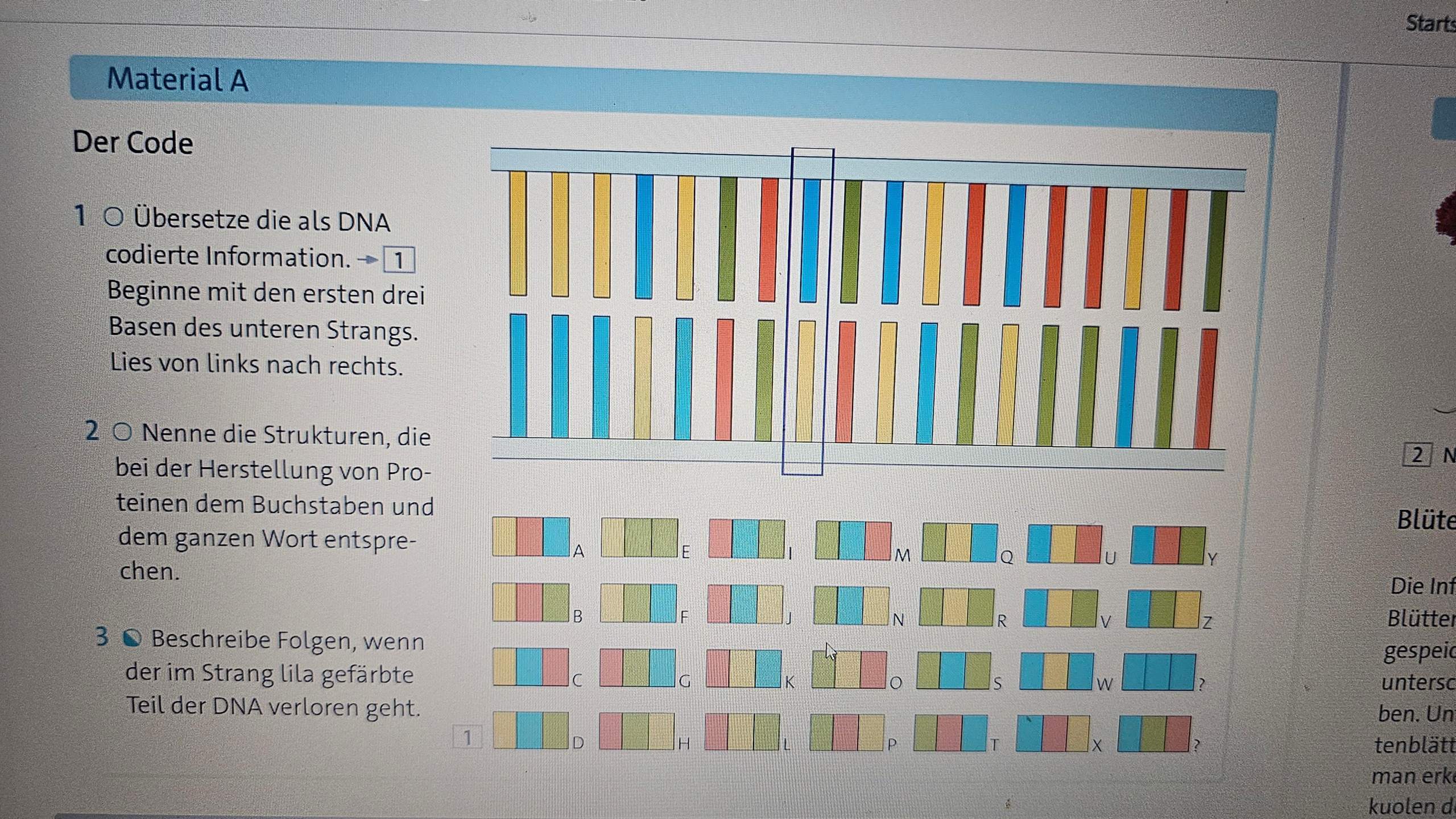 Was ist genetische code? (Genetik, Gen)
