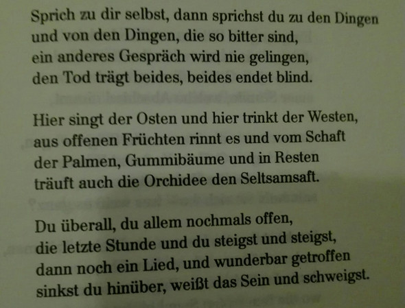 Was Ist In Diesem Gedicht Gemeint Schule Buch Lesen
