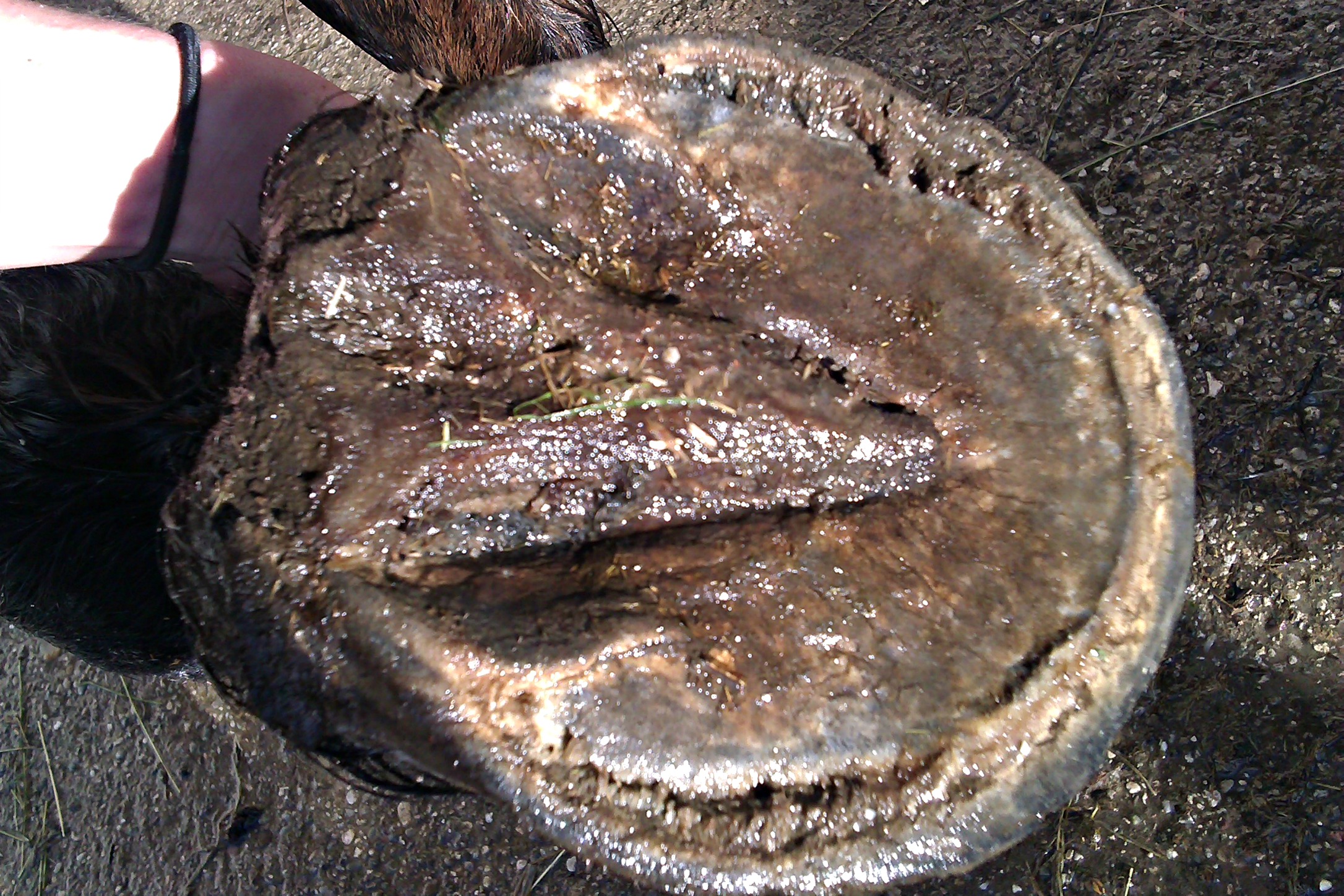 Versehentlich Bilder Vom Handy Geloscht