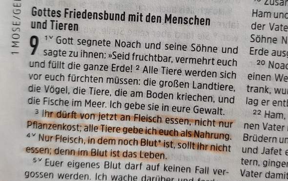 Bild zum Beitrag