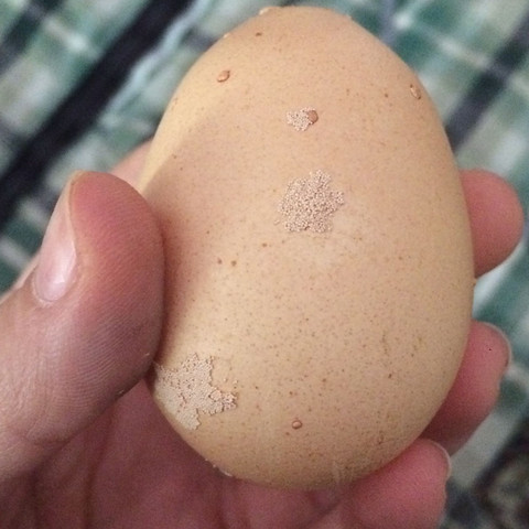 Was ist mit dieser Eierschale los!? (Eier, Schale)