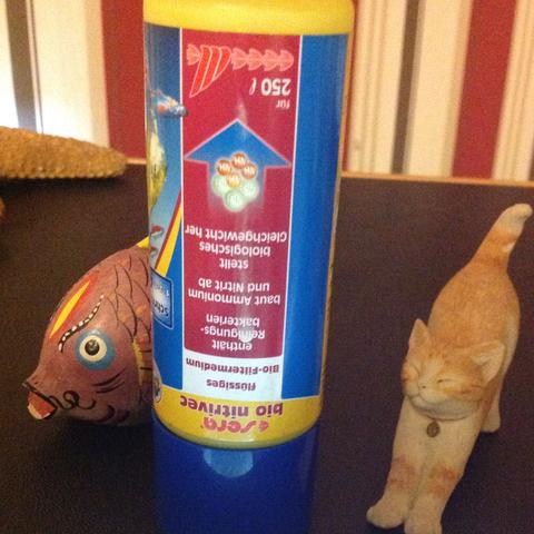 Mittel - (krank, Fische)