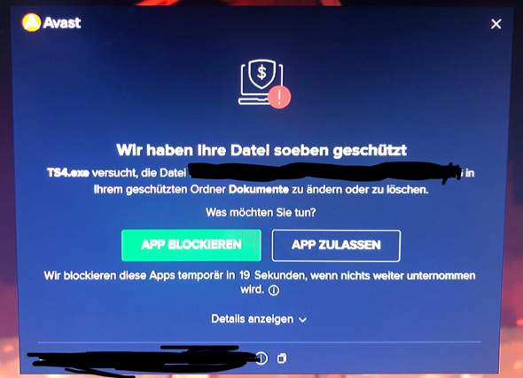Was ist TS4_x64.exe?