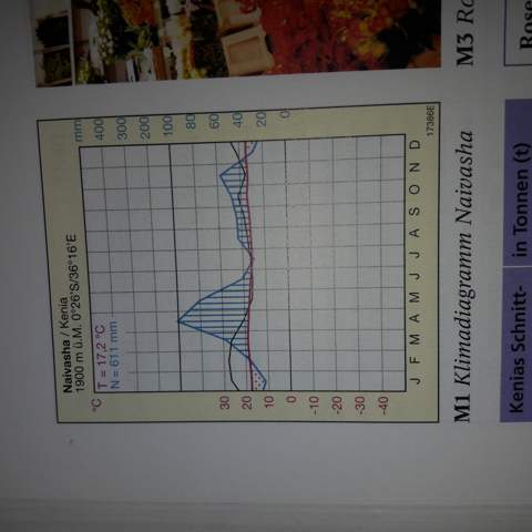 Was Kann Ich An Diesem Klimadiagramm Auswerten Computer Erdkunde