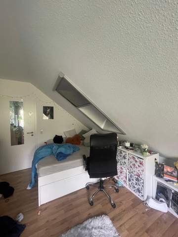 Bild zum Beitrag