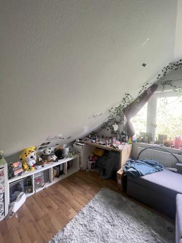 Bild zum Beitrag