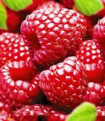Himbeeren - (Rezept, lecker, Himbeeren)