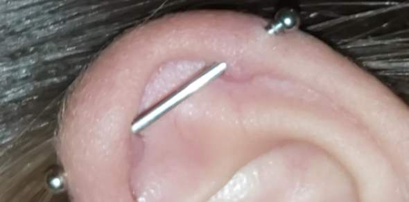 was kann man bei wildfleisch tun piercing ohrloch helix