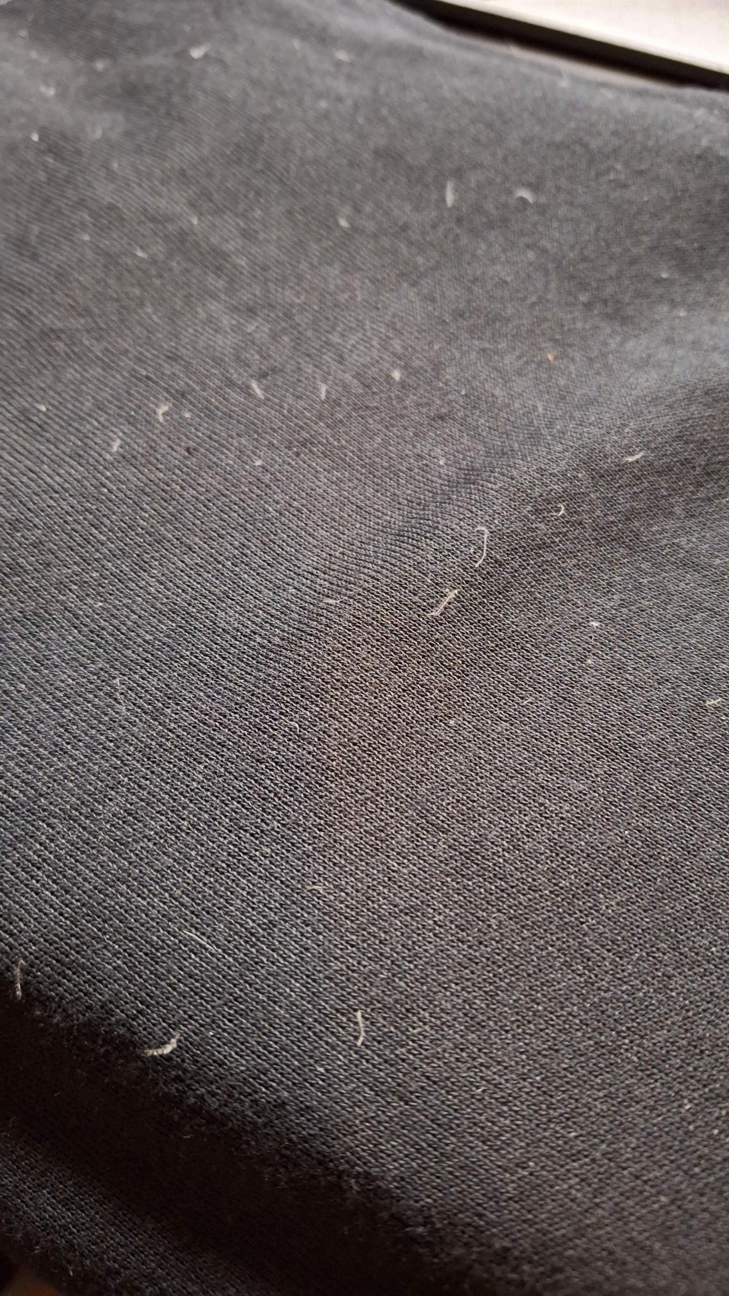 Was Kann Man Gegen Segelohren Machen Was kann man gegen diese Fusel machen? (Hose, Waschmaschine, Fussel)