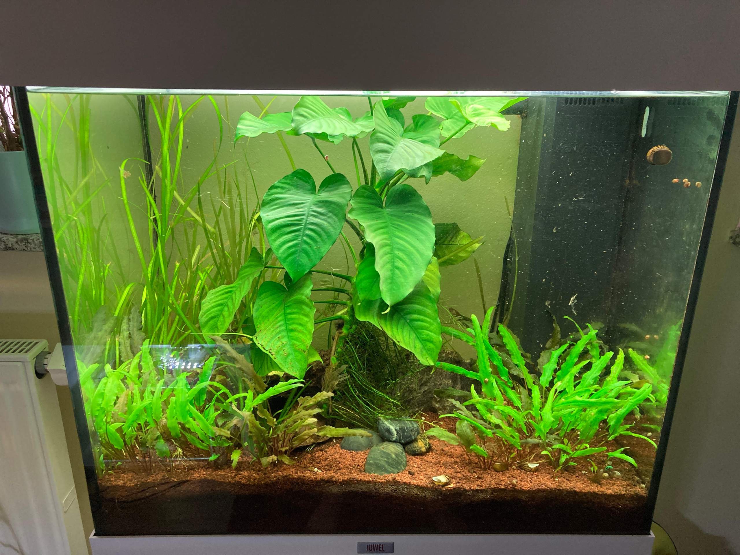 Was kann man mit 120 L anfangen? (Hobby, Fische, Aquarium)
