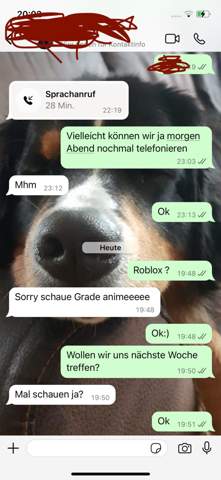 Bild zum Beitrag