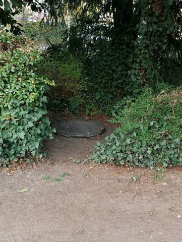 Bild zum Beitrag