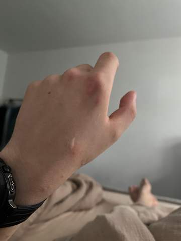 Bild zum Beitrag
