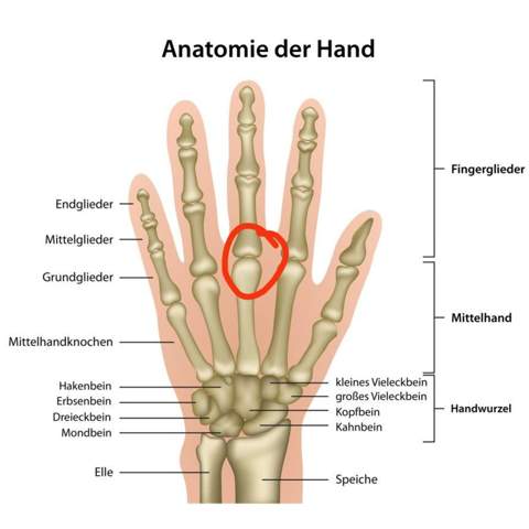 Bild zum Beitrag