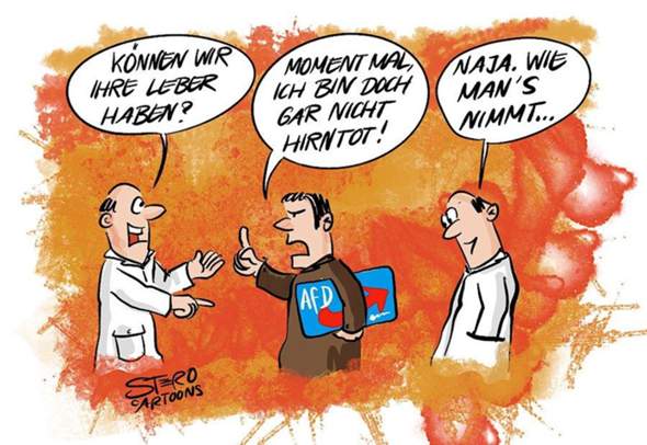 Bild zum Beitrag
