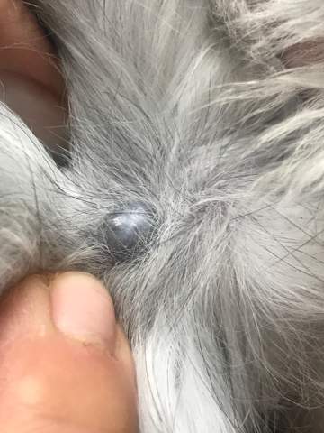 Knubbel Die Meistgelesenen Fragen Knubbel Die Meistgelesenen Fragen