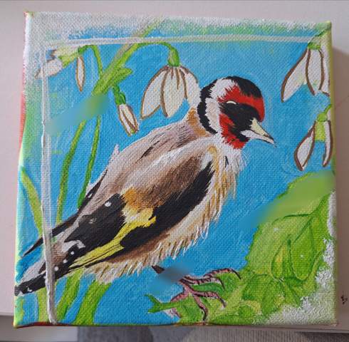 Bild zum Beitrag
