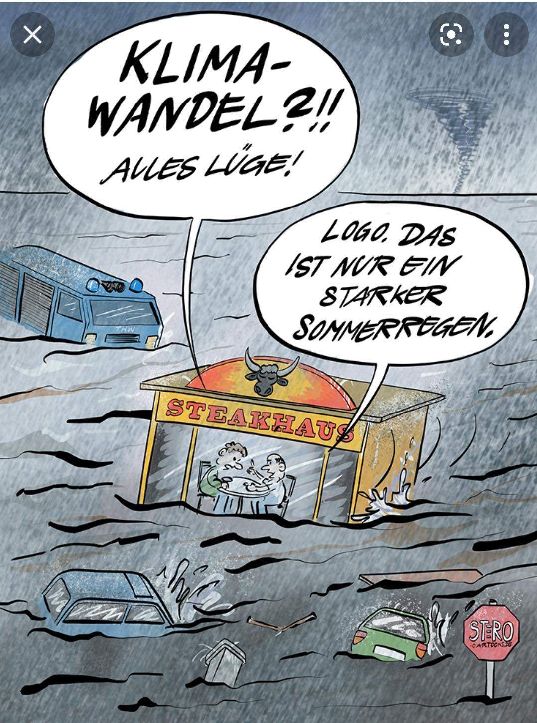 Was könnte mit dieser Karikatur gemeint sein? Was hat das Wetter mit
