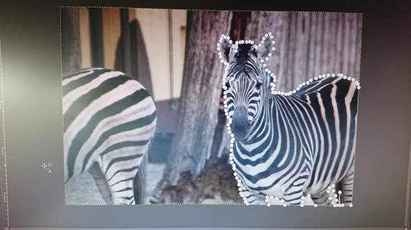 Was Mach Ich Beim Ausschneiden Des Bildes Falsch Gimp 2 10 Computer Technik Technologie