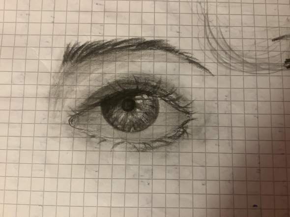 Bild zum Beitrag