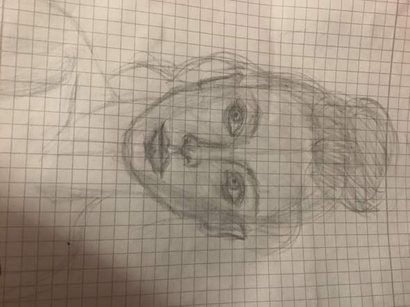 Bild zum Beitrag