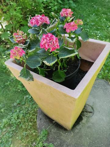 Bild zum Beitrag