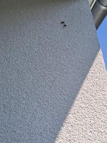 Bild zum Beitrag