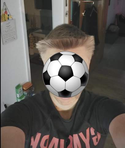 Bild zum Beitrag