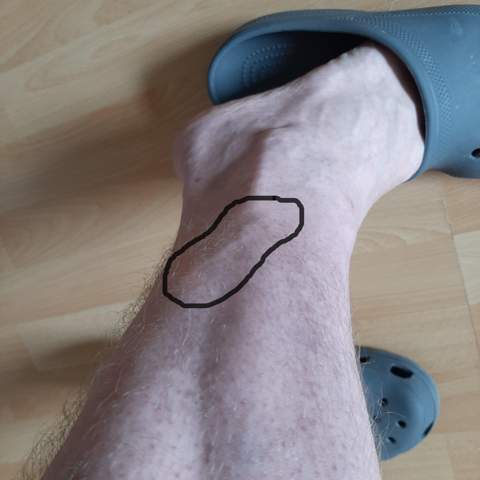 Bild zum Beitrag