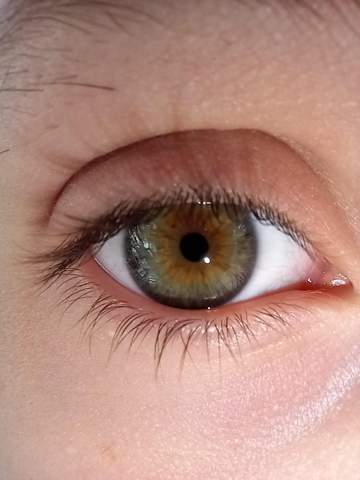 Was meint ihr,grüne oder braune Augen?