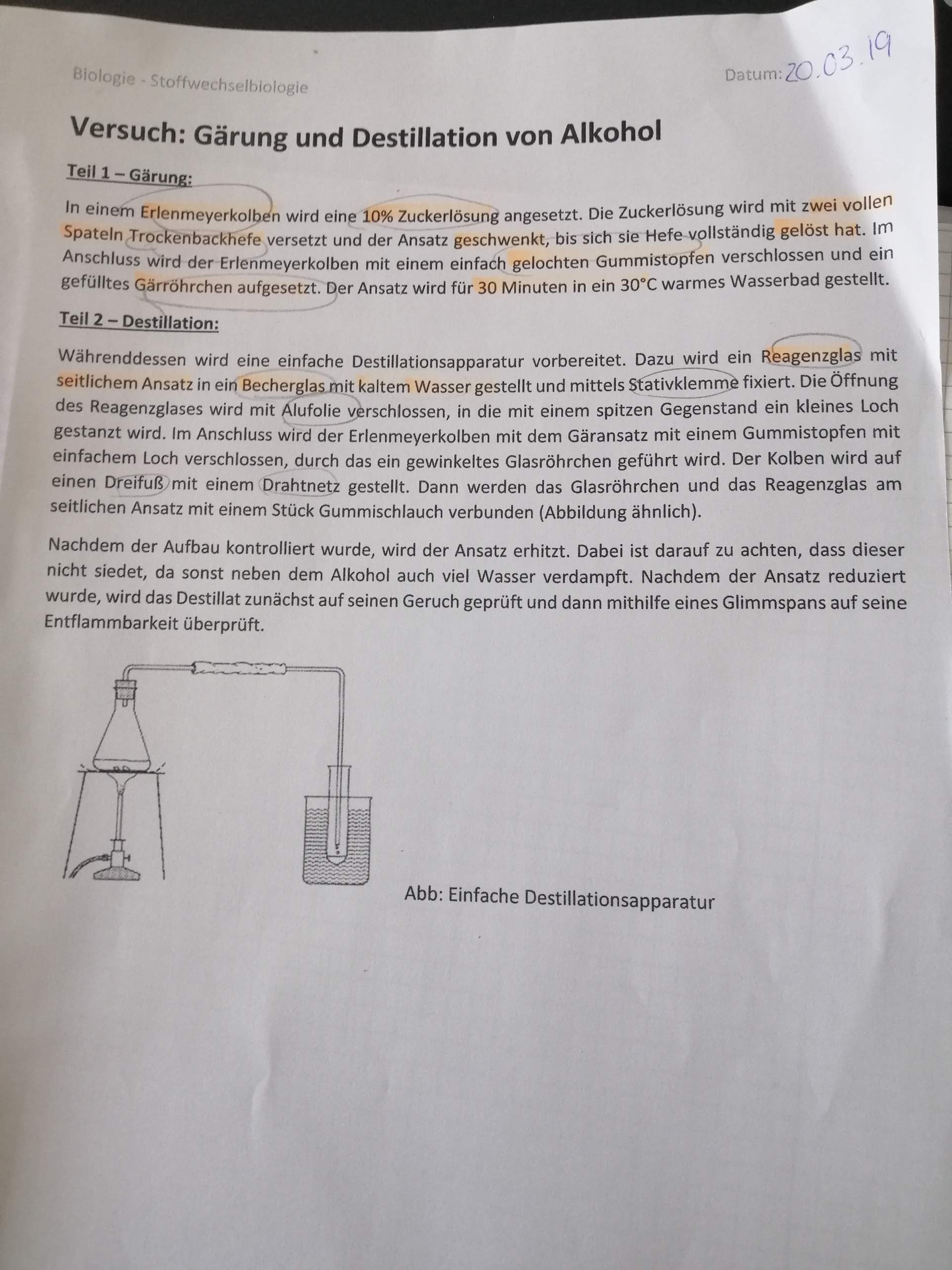 Was passiert bei der Gärung und Destillation von Alkohol? (Chemie ...