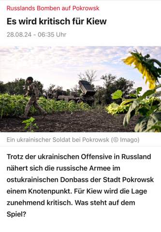 Bild zum Beitrag