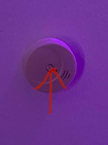 Was passiert wenn ich diesen Knopf am rauchmelder drücke?
