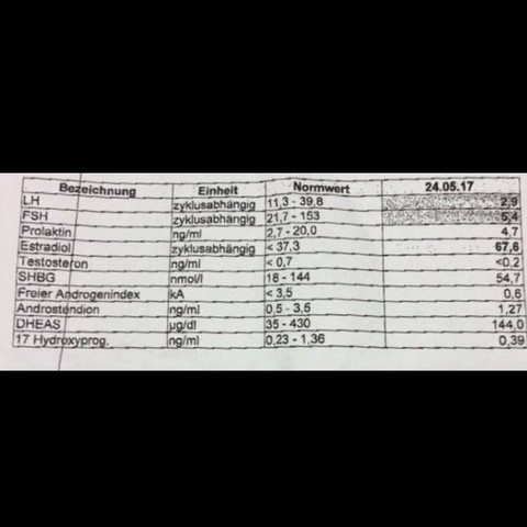 Blutwerte anbei - (Periode, Blut, Hormone)