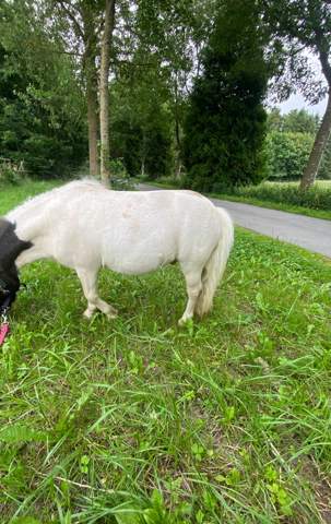 Bild zum Beitrag