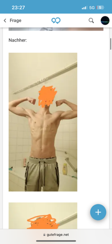 Bild zum Beitrag