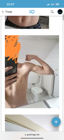 Bild zum Beitrag