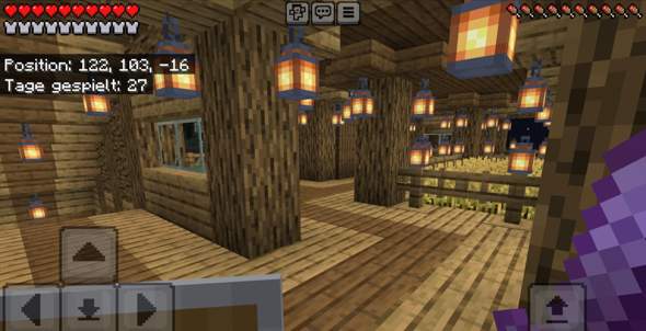 - (Computerspiele, Minecraft, Server)