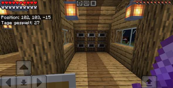 - (Computerspiele, Minecraft, Server)