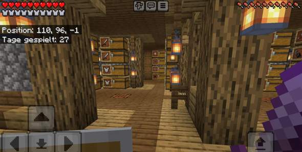- (Computerspiele, Minecraft, Server)