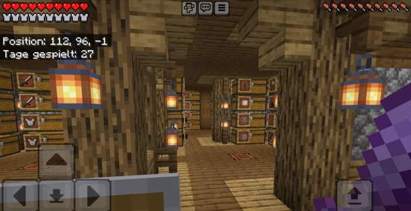 - (Computerspiele, Minecraft, Server)