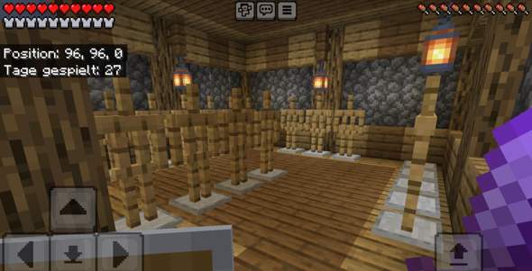 - (Computerspiele, Minecraft, Server)