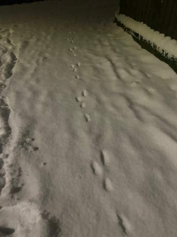 Bild zum Beitrag