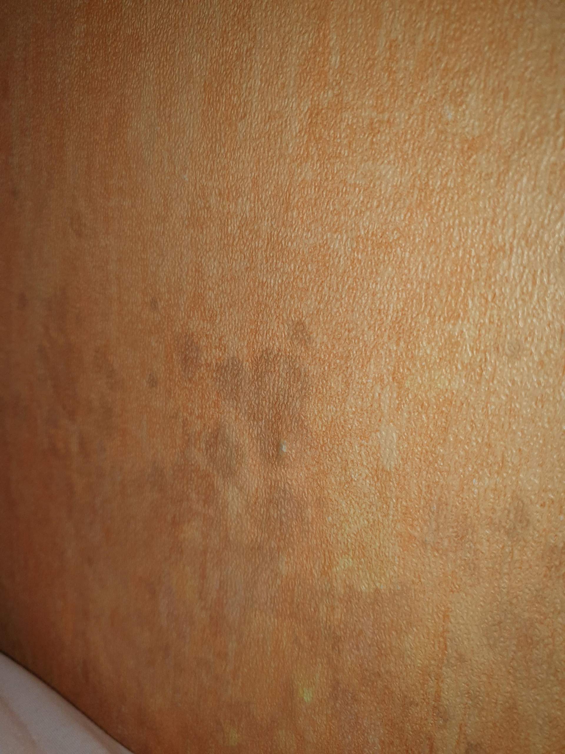 Was sind das für flecken an meiner Tapete? (Hygiene, Schimmel)