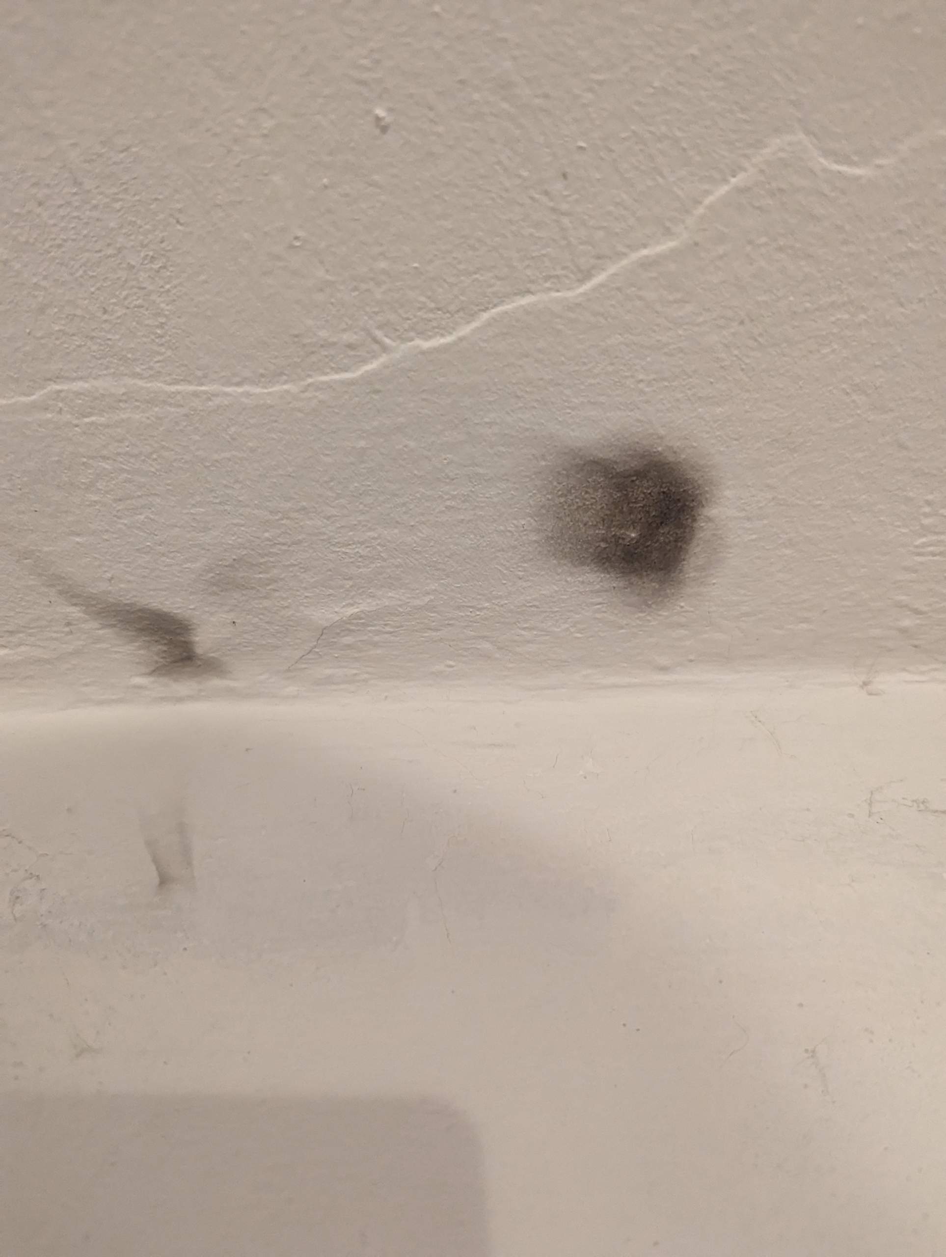 Was sind das für Flecken an unserer Decke? (Gesundheit, Wohnung, Haus)