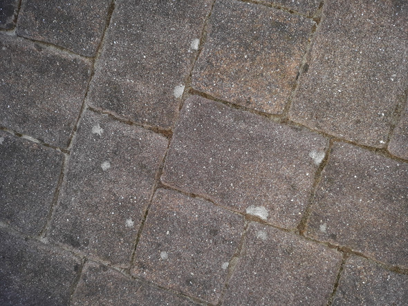 Was sind das für Flecken auf den Terrassensteinen? (Computer)