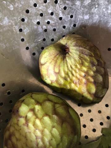 Was sind das für Früchte?
