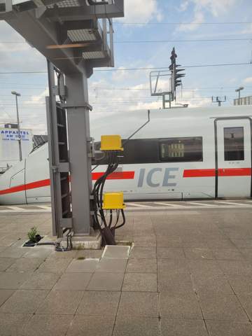Bild zum Beitrag
